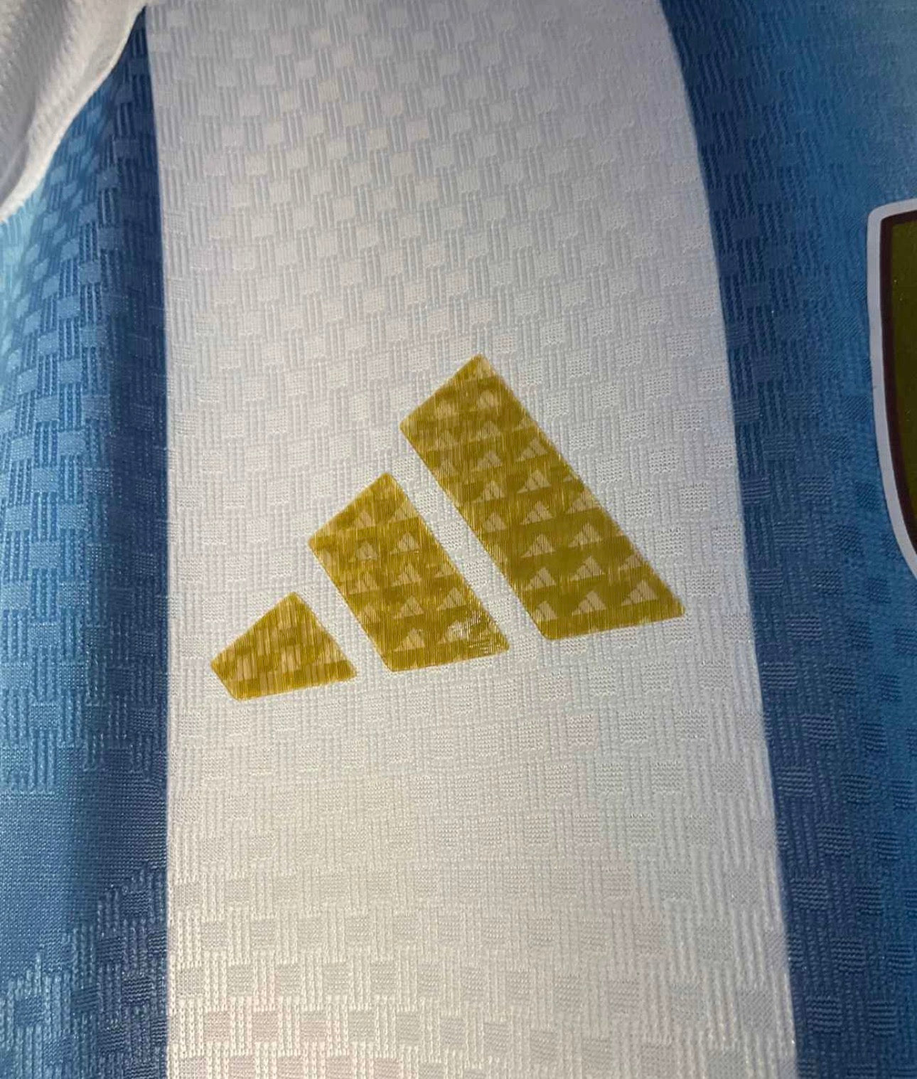Jersey ARG (Premium Jugador)